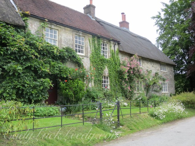 Row Houses at Tintinhull