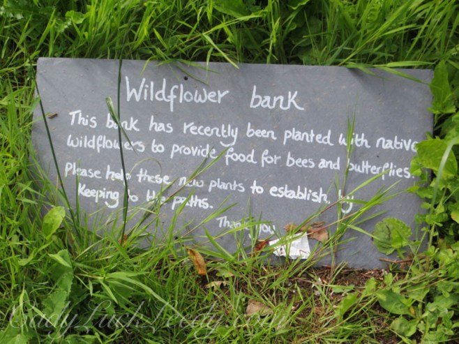 The Wildflower Bank at Greenway