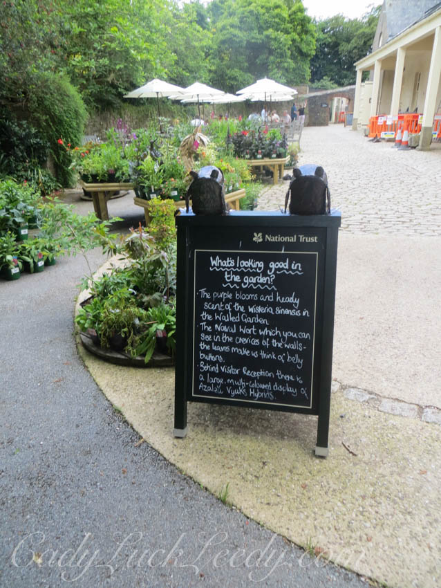 A Look at the Restaurant and the Gift Shop Area at Greenway