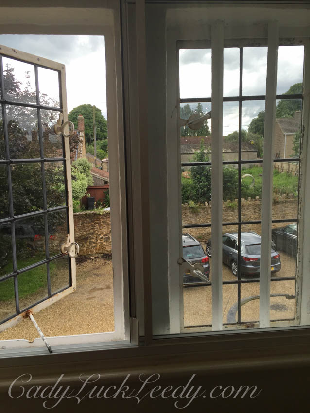 A Quick Peek at LEON