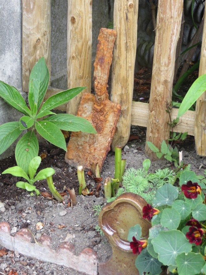 St Ives Secret Gardens