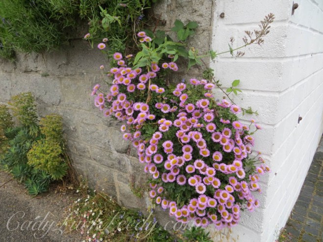 Wrap Around the Corner, St Ives, Cornwall