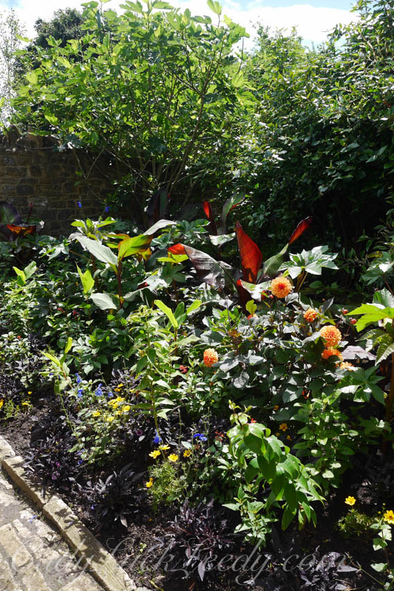 A Few Garden Photos at Tintinhull