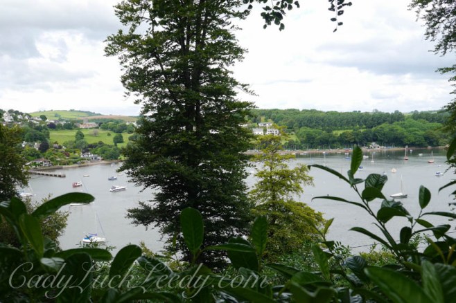 A View of the River Dart at Greenway