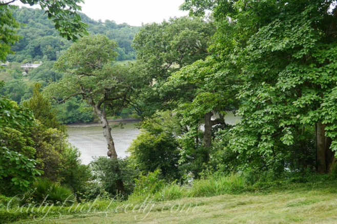 A View of the River Dart at Greenway