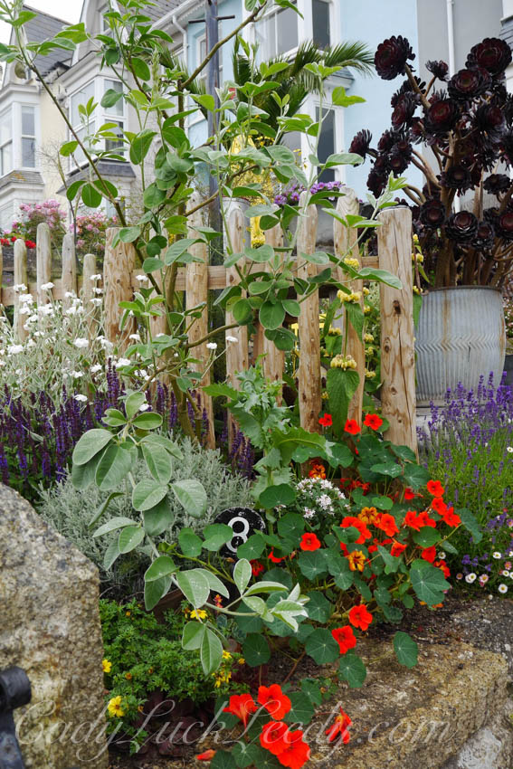 The Victorian Gardens at St Ives, Cornwall