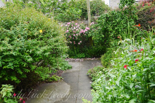 St Ives Secret Gardens