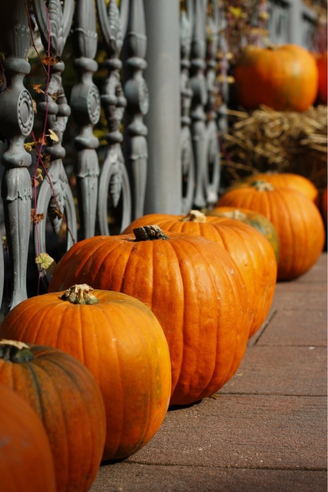 Pumpkins by the Railing