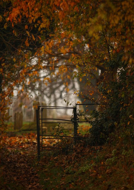 Kissing Gate