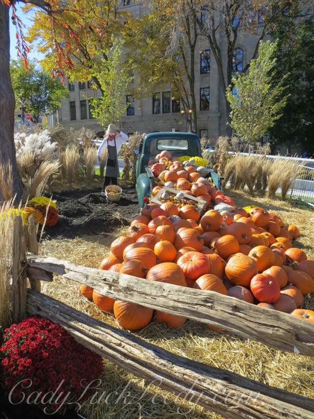 The Pumpkin Truck, Quebec City, Canada