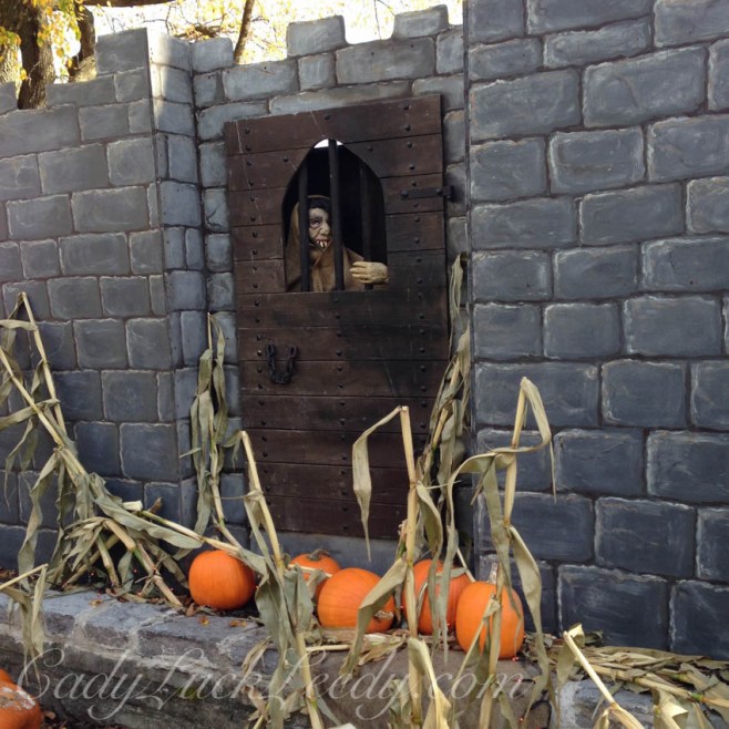 Creature in Quebec, Canada