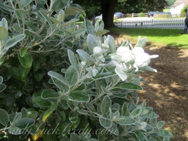 Cowbeech House, Hailsham, UK