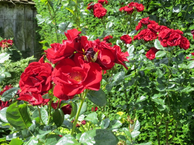 The Pink Garden, Sissinghurst Garden, UK