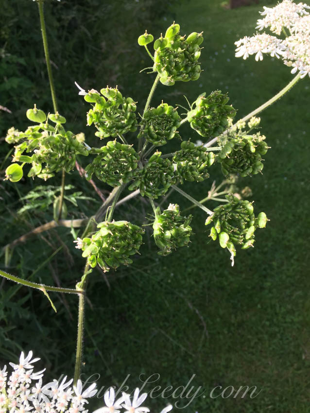 In the Garden, The Potting Shed, Benenden, UK