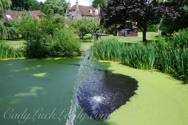 The Pond at Cowbeech House, Hailsham, UK