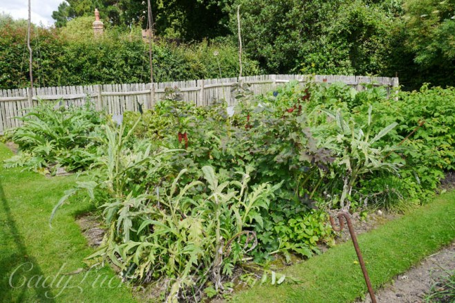 The First Vegetable Patch, The Potting Shed, Benenden, UK