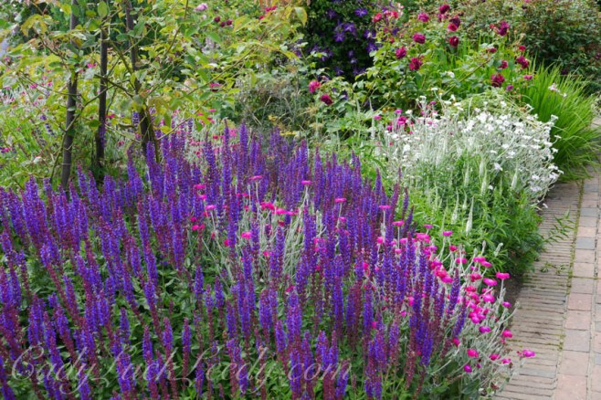 The Purple Garden at Sissinghurst, UK