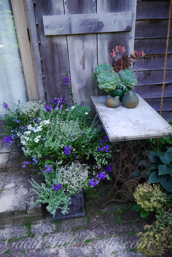 The Potting Shed, Benenden, UK