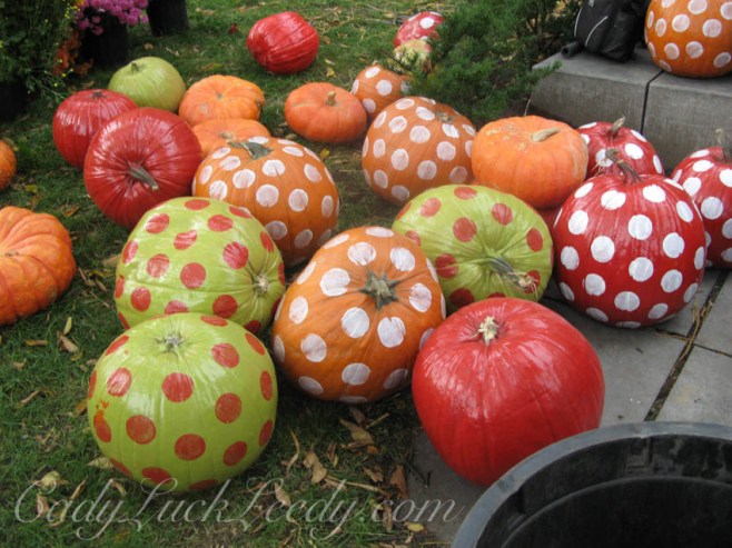  Pumpkins in Quebec City, Canada