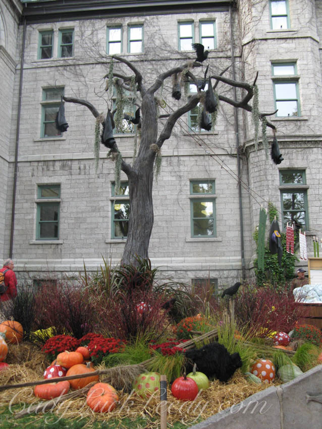 Party Time, Quebec City, Canada