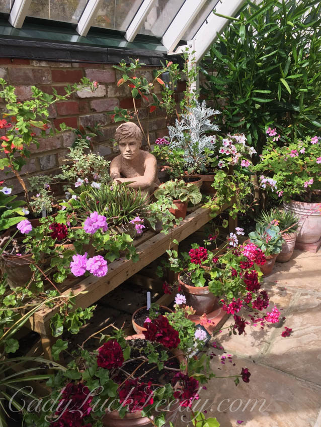 Pashley Manor and Gardens