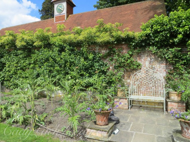 Pashley Manor and Gardens