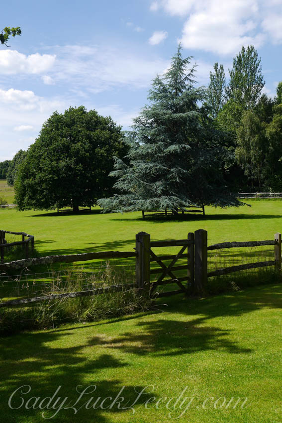The Landscape of Pashley Manor