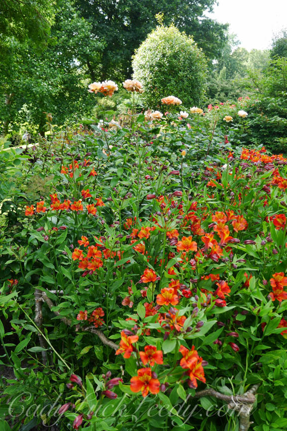 Pashley Garden, Ticehurst, UK