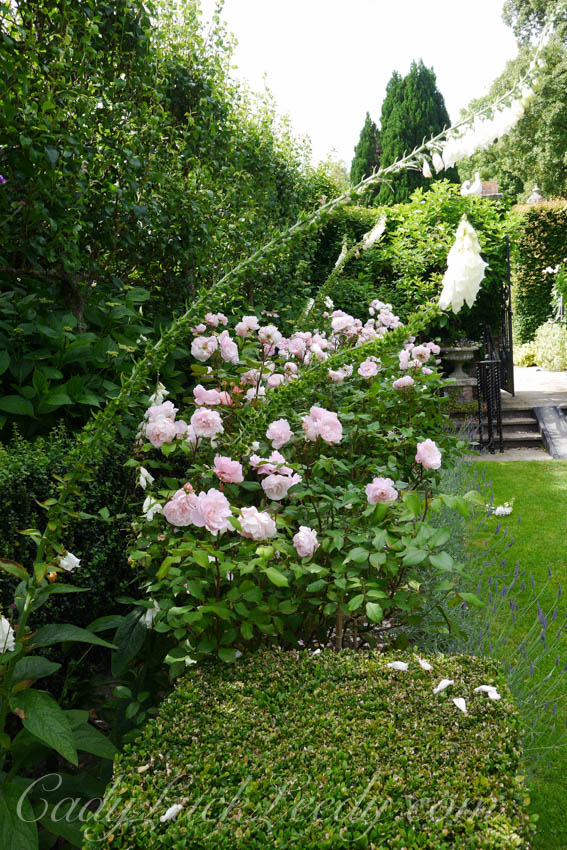 Pashley Garden, Ticehurst, UK