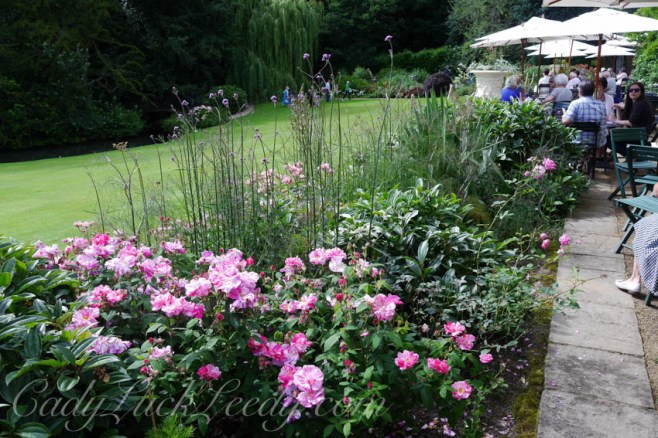 Pashley Garden, Ticehurst, UK