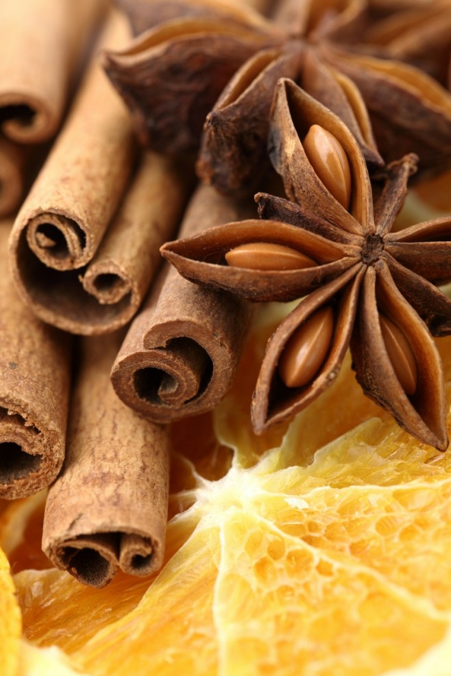 The Elizabethan Christmas 